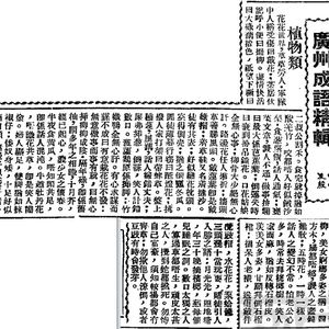 廣州成語精輯之植物類